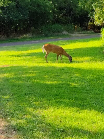Bluff Creek Park - Oklahoma City, OK