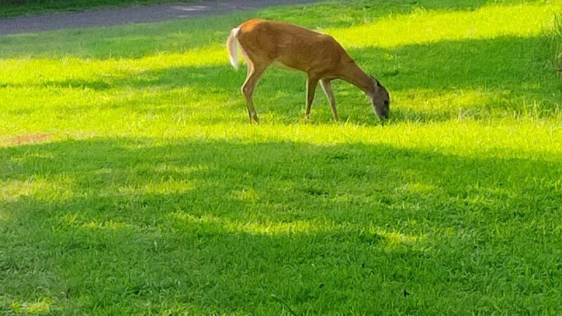 Bluff Creek Park - Oklahoma City, OK