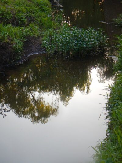 Brookwood Park - Oklahoma City, OK