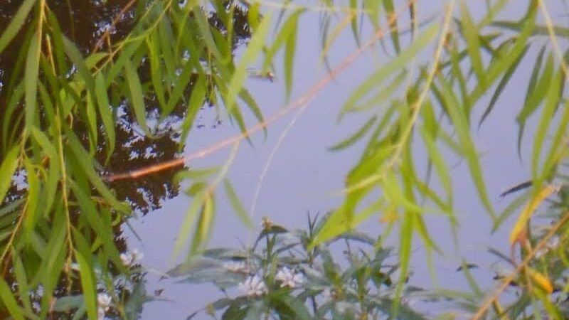 Brookwood Park - Oklahoma City, OK