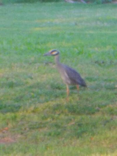 Brookwood Park - Oklahoma City, OK