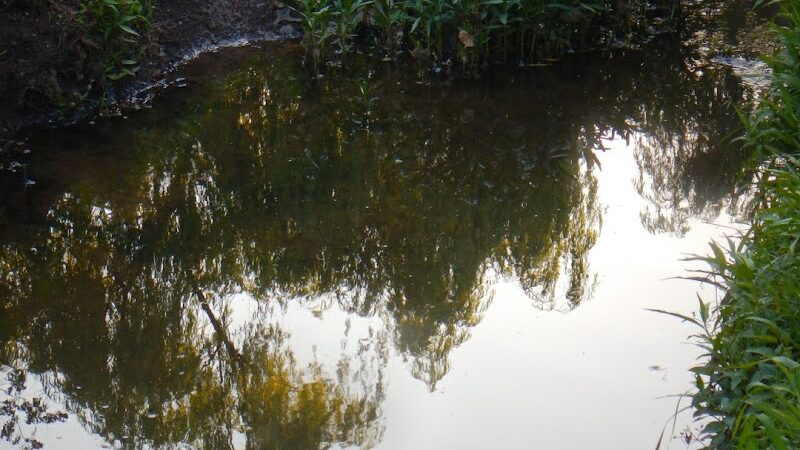 Brookwood Park - Oklahoma City, OK