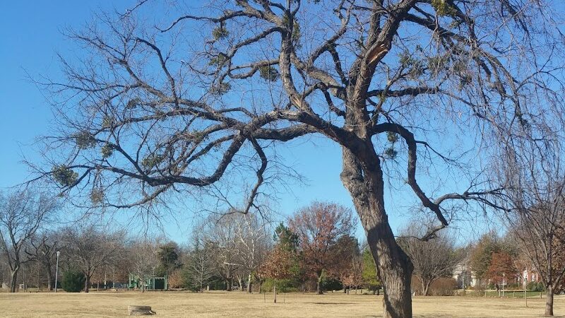 Crown Heights Park - Oklahoma City, OK