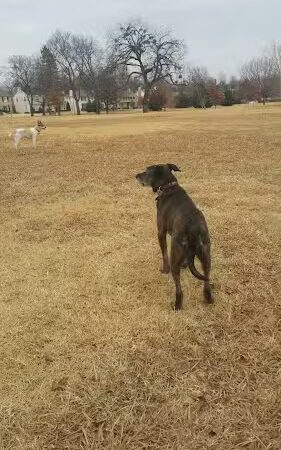 Crown Heights Park - Oklahoma City, OK
