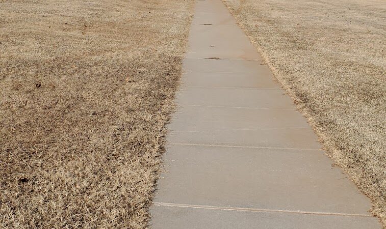 Dolphin Wharton Park - Oklahoma City, OK