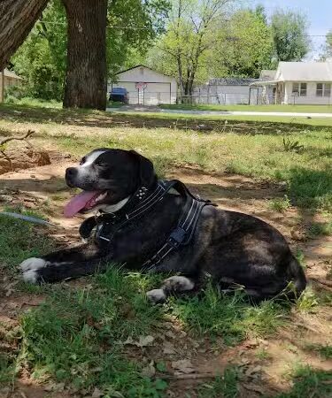 Draper Park (Capitol Hill) - Oklahoma City, OK