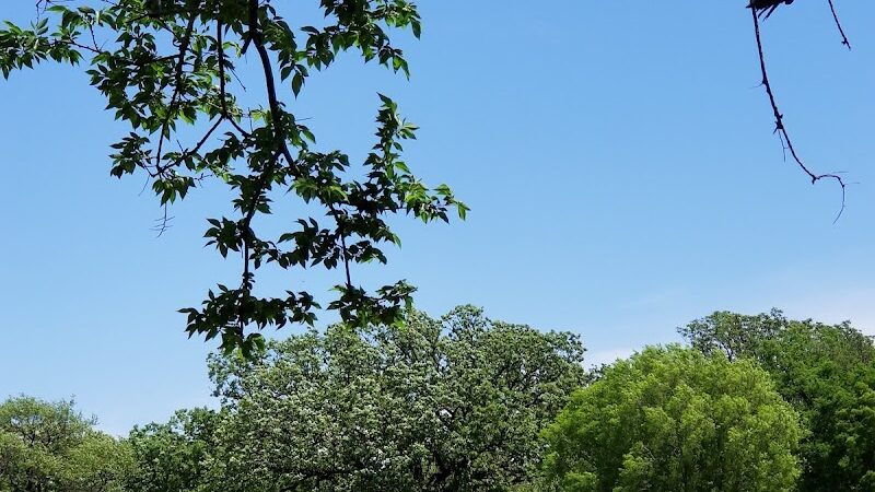Draper Park (Capitol Hill) - Oklahoma City, OK