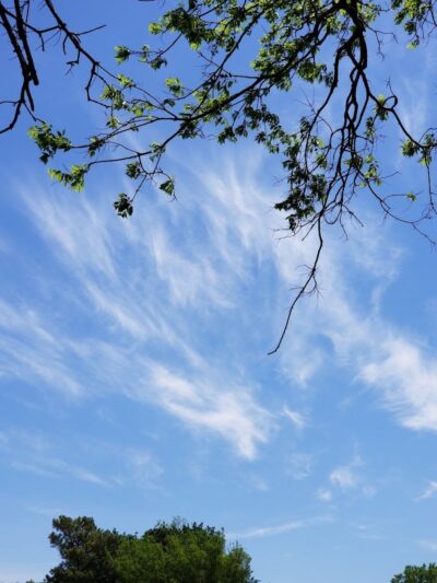 Draper Park (Capitol Hill) - Oklahoma City, OK