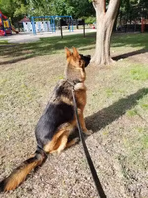 Earlywine Park - Oklahoma City, OK
