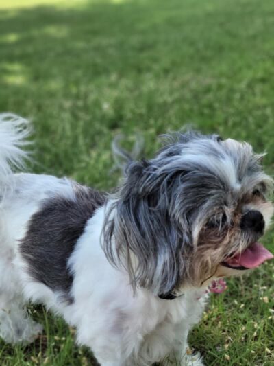 Earlywine Park - Oklahoma City, OK