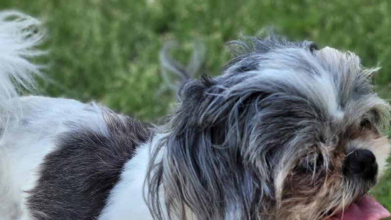 Earlywine Park - Oklahoma City, OK