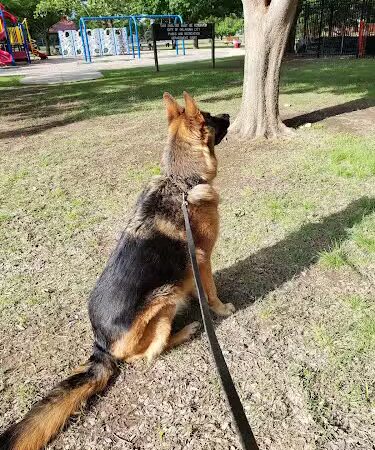 Earlywine Park - Oklahoma City, OK