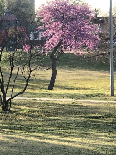 Flower Garden Park - Oklahoma City, OK