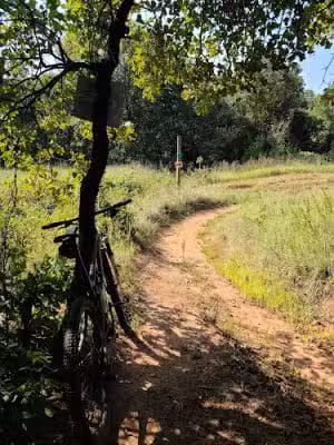 Lake Stanley Draper Mountain Bike Trails - Oklahoma City, OK
