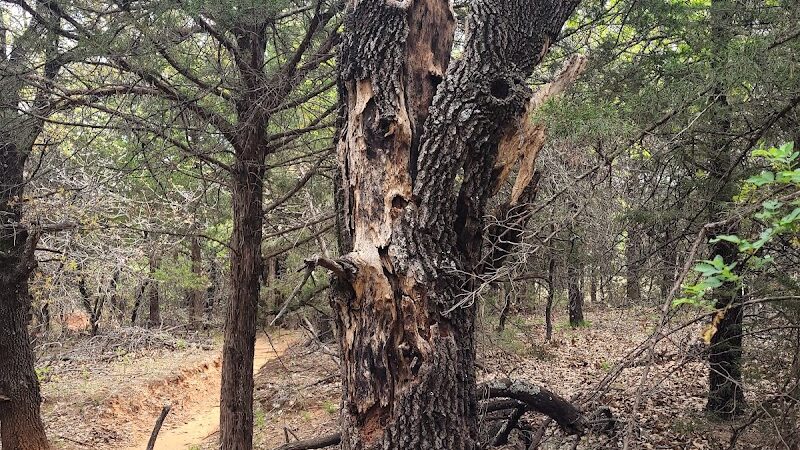 Lake Stanley Draper Mountain Bike Trails - Oklahoma City, OK