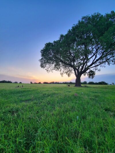Lakeshore Park - Oklahoma City, OK