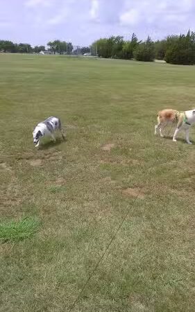 Lakeshore Park - Oklahoma City, OK