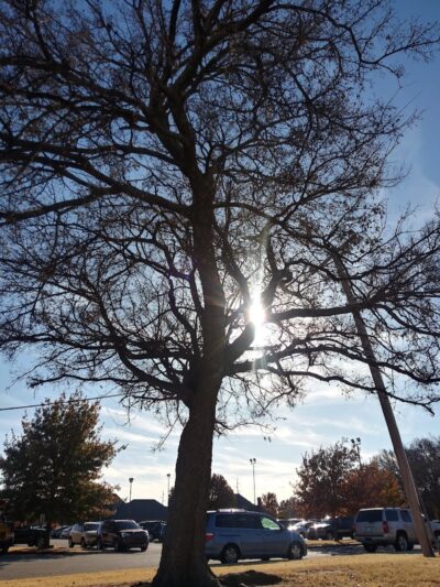 Merrel Medley Park - Oklahoma City, OK