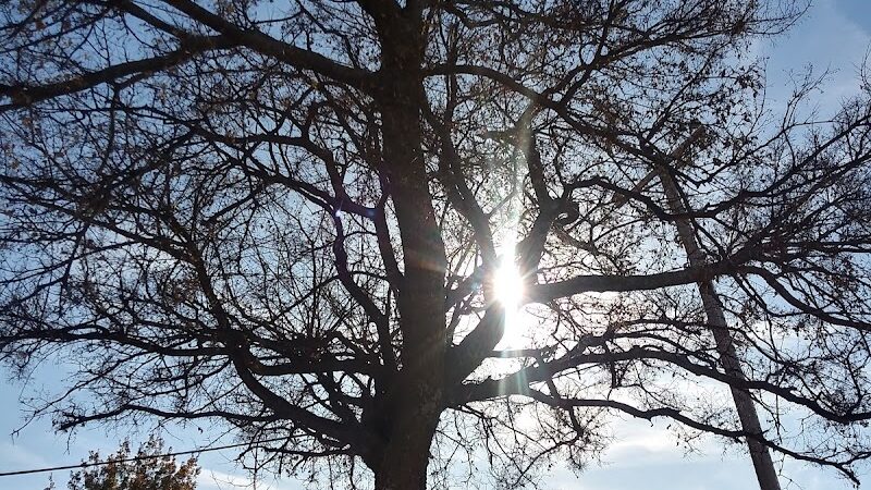 Merrel Medley Park - Oklahoma City, OK