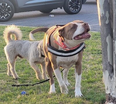 Mike Dover Park - Oklahoma City, OK