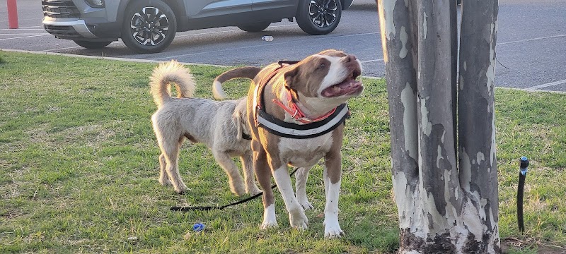 Mike Dover Park - Oklahoma City, OK