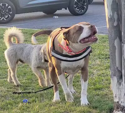 Mike Dover Park - Oklahoma City, OK
