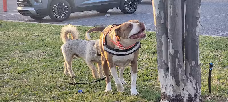 Mike Dover Park - Oklahoma City, OK