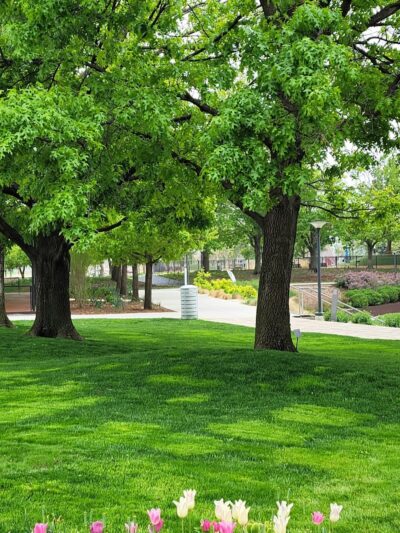Myriad Gardens Community Dog Park - Oklahoma City, OK
