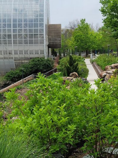 Myriad Gardens Community Dog Park - Oklahoma City, OK