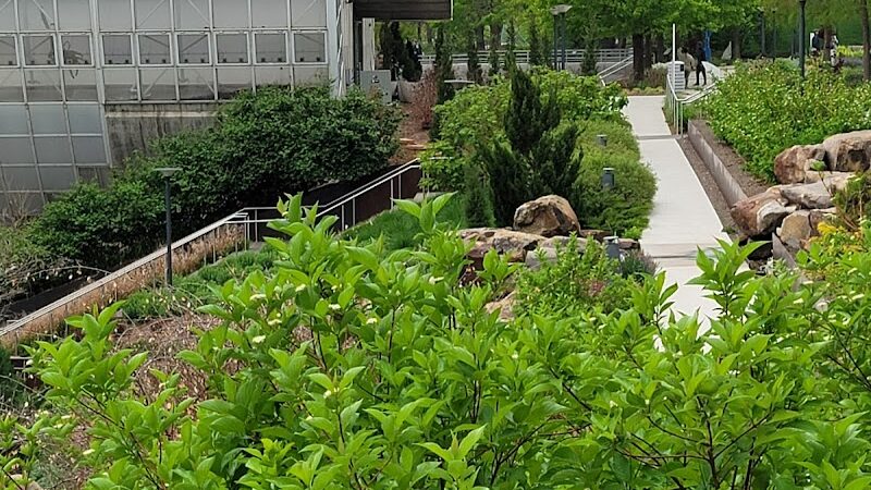 Myriad Gardens Community Dog Park - Oklahoma City, OK
