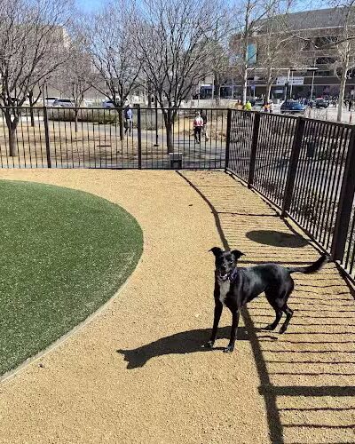 Myriad Gardens Community Dog Park - Oklahoma City, OK