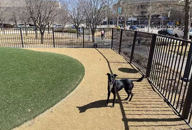 Myriad Gardens Community Dog Park - Oklahoma City, OK