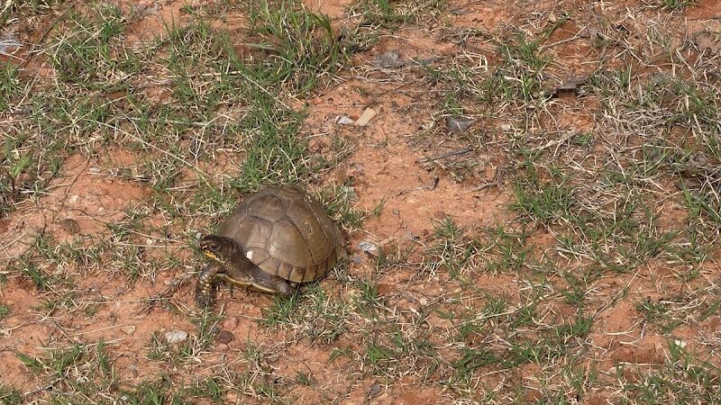 Observation Park - Oklahoma City, OK