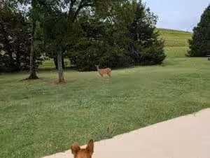 Pat Murphy Park - Oklahoma City, OK