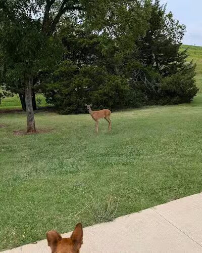 Pat Murphy Park - Oklahoma City, OK
