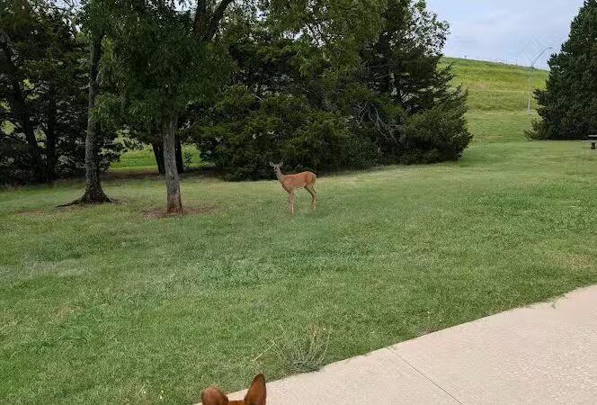 Pat Murphy Park - Oklahoma City, OK