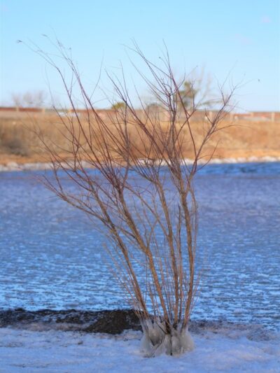 Prairie Dog Point Sports Complex - Oklahoma City, OK