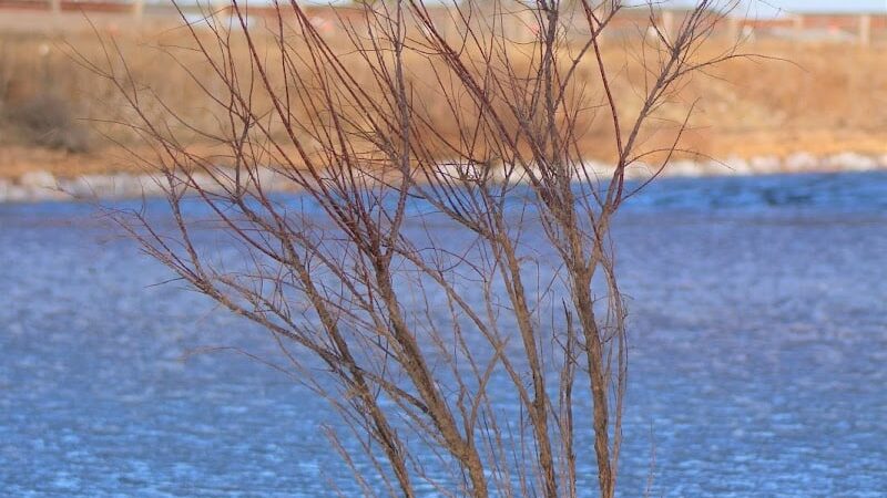 Prairie Dog Point Sports Complex - Oklahoma City, OK