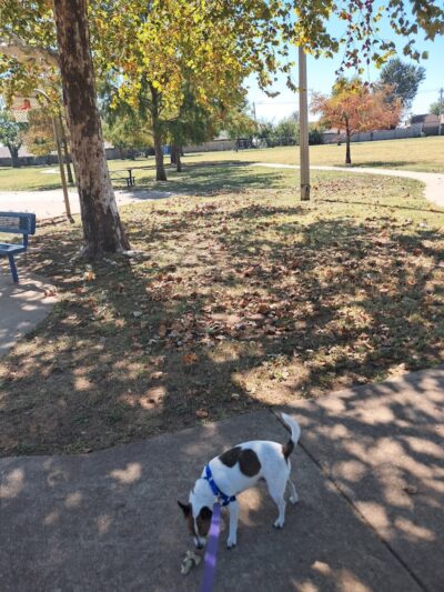 Siler Park - Oklahoma City, OK