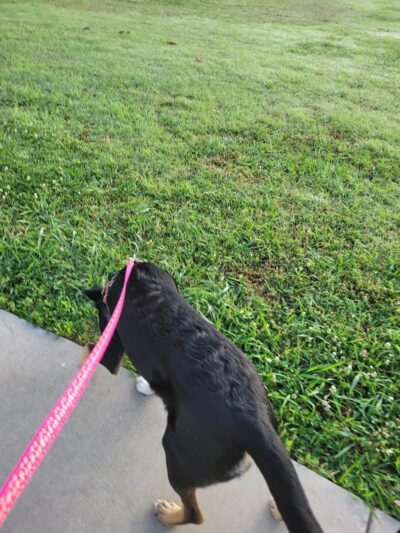 Siler Park - Oklahoma City, OK