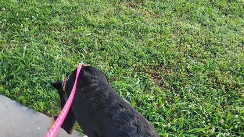 Siler Park - Oklahoma City, OK