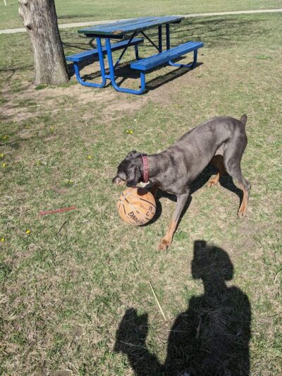 Siler Park - Oklahoma City, OK