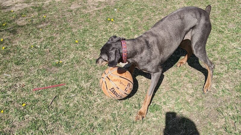 Siler Park - Oklahoma City, OK