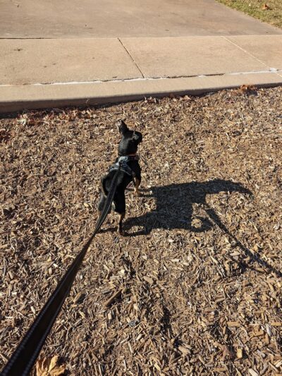 Siler Park - Oklahoma City, OK