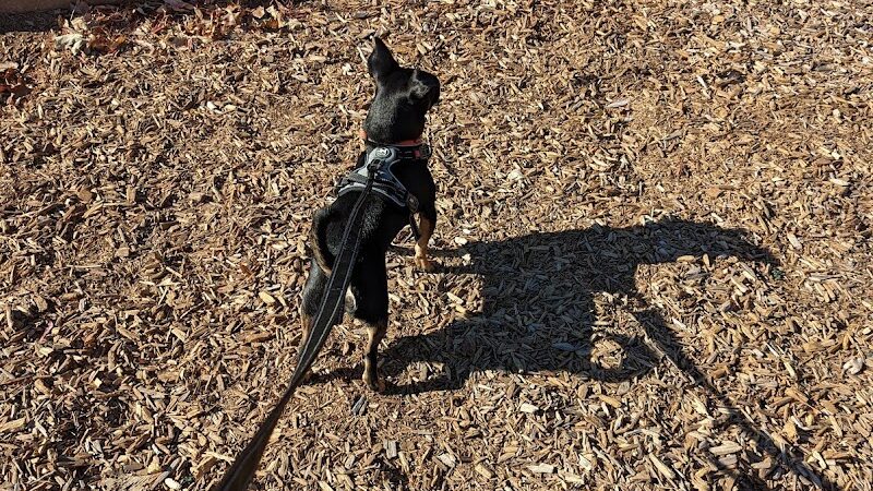 Siler Park - Oklahoma City, OK