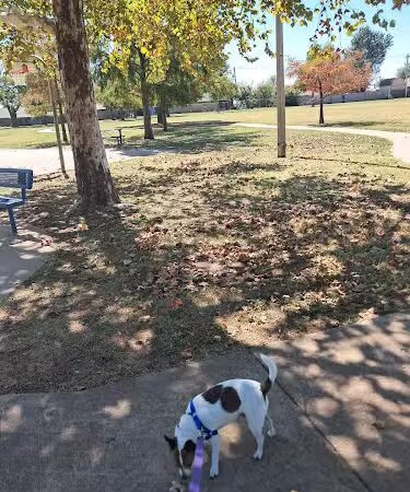 Siler Park - Oklahoma City, OK