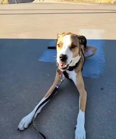 South Lakes Park - Oklahoma City, OK