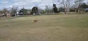 Swatek Park - Oklahoma City, OK