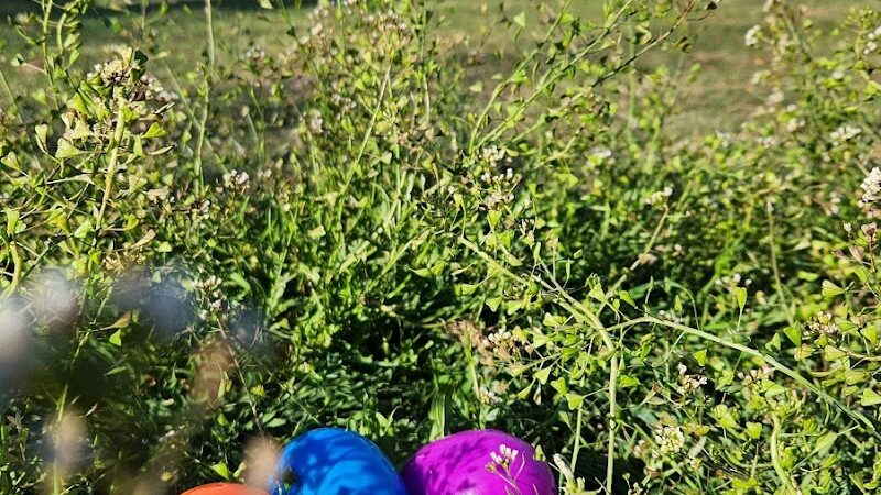 Swatek Park - Oklahoma City, OK