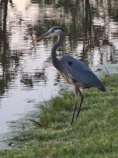 Tinker AFB FamCamp - Oklahoma City, OK